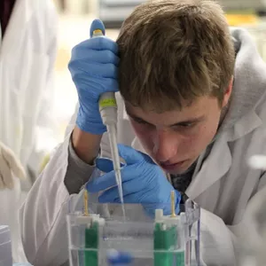 Imagem de capa para o Curso online WESTERN BLOT