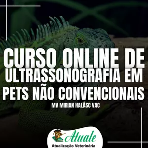 Imagem de capa para o Curso online Curso Online de Ultrassonografia em Pets Não Convencionais
