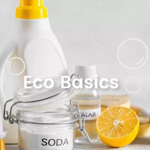 Imagen de portada para Curso online Ecobasics