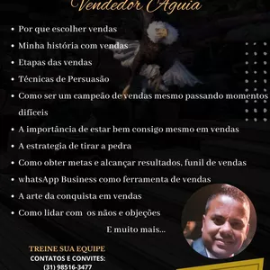 Imagem de capa para o Curso online Curso Vendedor águia 3.0