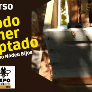 Imagem de capa para o Curso online MÉTODO PALMER ADAPTADO - MINICURSO