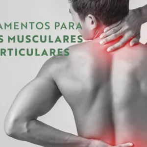 Imagem de capa para o Ebook Acabar com as dores articulares e musculares 
