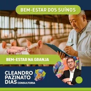 Imagem de capa para o Curso online Interpretando a Instrução Normativa Nº113