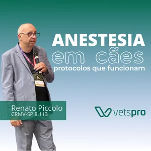 Imagem de capa para o Curso online Anestesia em cães: protocolos que funcionam
