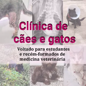 Imagem de capa para o Curso online Curso clínica de cães e gatos 