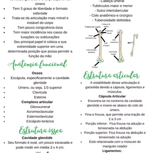 Imagem de capa para o Ebook Resumo sobre Ombro