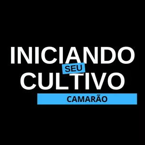 Imagem de capa para o Curso online Iniciando seu Cultivo de Camarão 