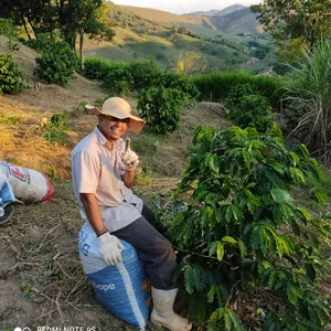 Imagem de capa para o Curso online DESCUBRA COMO O CAFÉ CHEGA À SUA CASA