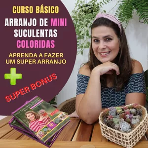 Imagem de capa para o Curso online Curso Arranjo de Mini Suculentas Coloridas