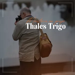 Imagem de capa para o Curso online Mentoria em grupo com Thales Trigo - 3M