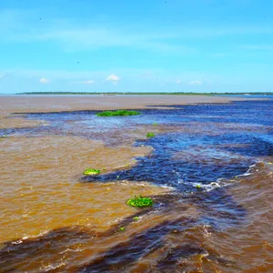 Imagem de capa para o Serviço online Marketing digital e expansão