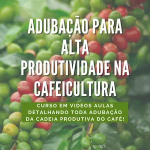 Imagem do curso Adubação Para Cafeicultura