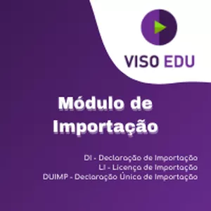 Imagem de capa para o Curso online Simulador Módulo de Importação
