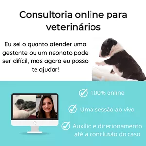 Imagem de capa para o Serviço online Consultoria Online para Veterinários