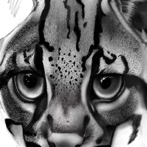 Imagen de portada para Curso online Curso BÁSICO de Dibujo Digital