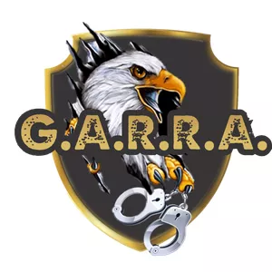 Imagem de capa para o Curso online G.A.R.R.A.