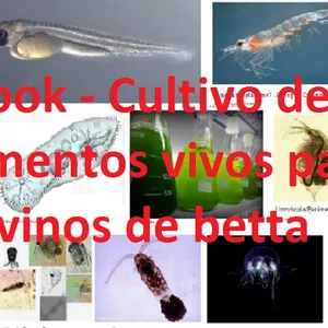 Imagem de capa para o Ebook "Como produzir peixe  betta sem artemias",