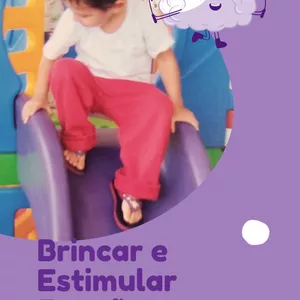 Imagem de capa para o Ebook Brincar e Estimular Funções Executivas