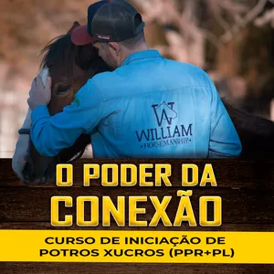 Imagem de capa para o Curso online O PODER DA CONEXÃO - Curso de Iniciação de Potros Xucros (PPR+PL) + bônus exclusivos