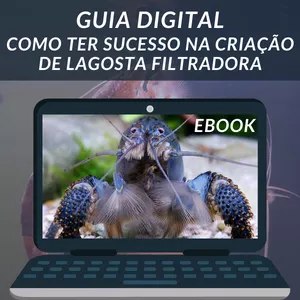 Imagem de capa para o Ebook GUIA DIGITAL- LAGOSTA FILTRADORA