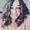 Shannan Fiorenza