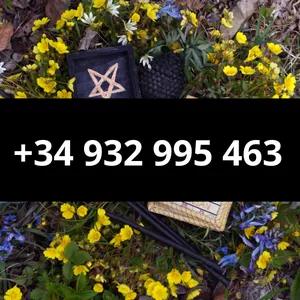 Imagen de portada para Curso online Horóscopo De Mañana Tauro – Predicción clara y actualizada