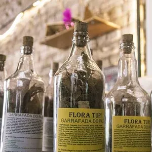 Imagem de capa para o Curso online Gastrovida - Elimine de uma vez por todas a Gastrite