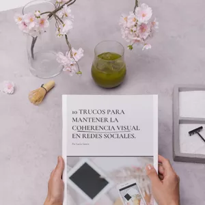 Imagen de portada para Ebook 10 trucos para mantener la Coherencia Visual en Redes Sociales