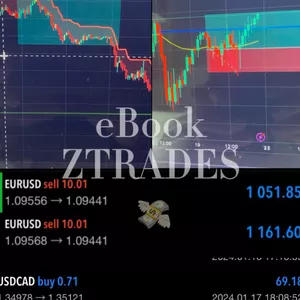 Imagen de portada para Ebook eBook ZTRADES