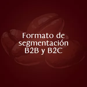 Imagen de portada para Ebook Formato de segmentación B2B y B2C 2.0