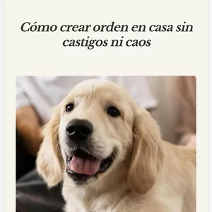 Imagen de portada para Ebook Hábitos claros, perros tranquilos