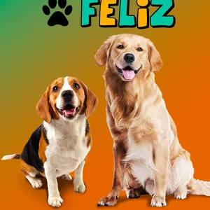 Imagem de capa para o Ebook ADESTRAMENTO DE CÃES COM MUITO AMOR MUNDO PET FELIZ 