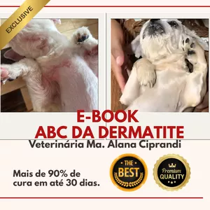 Imagem de capa para o Ebook E-book ABC da dermatite