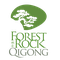 The Forest Rock Qigong