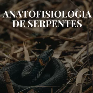 Imagem de capa para o Ebook Descomplicando a anatofisiologia de serpentes