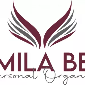 Imagem de capa para o Curso online Mundo da Organização por Camila Berti