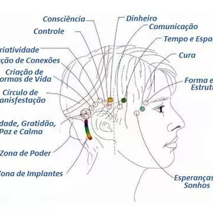 Imagem de capa para o Curso online Barras de Access Consciousness &amp; Neurociência - Com Práticas