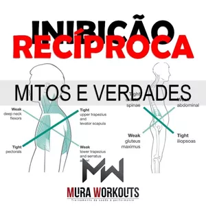 Imagem de capa para o Curso online Mitos e Verdades sobre INIBIÇÃO RECÍPROCA