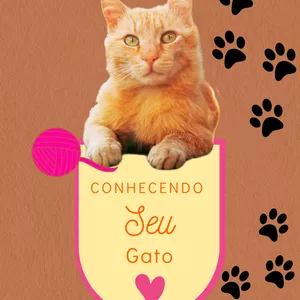 Imagem de capa para o Ebook Conhecendo seu Gato 