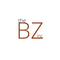 BZ Inc
