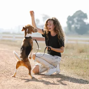 Imagem de capa para o Ebook Adestramento Canino: O Guia Definitivo para uma Convivência Harmoniosa 