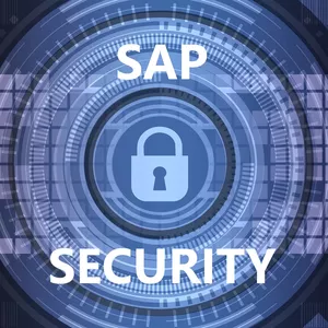Curso de SAP Security