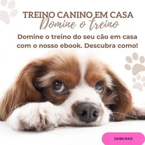 Imagem de capa para o Ebook Adestramento de cães