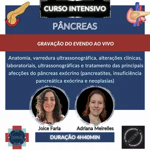 Imagem de capa para o Curso online Gravação Curso Intensivo de Pâncreas