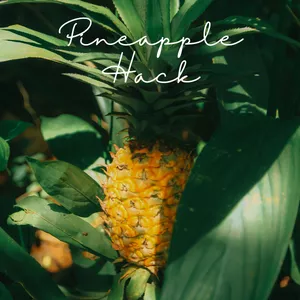 Cover image for Ebook Pineapple Hack