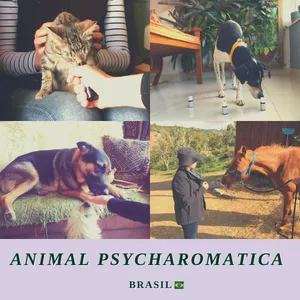 Imagem de capa para o Curso online Animal PsychAromatica Brasil 