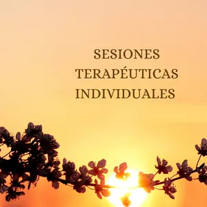 Imagen de portada para Evento online 5 sesiones terapeúticas