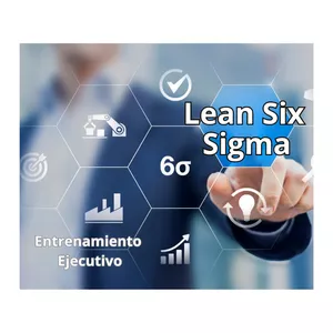 Imagen de portada para Curso online Entrenamiento Ejecutivo Lean Six Sigma