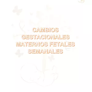 Imagen de portada para Ebook EMBARAZO: CAMBIOS FETALES Y MATERNOS SEMANA A SEMANA