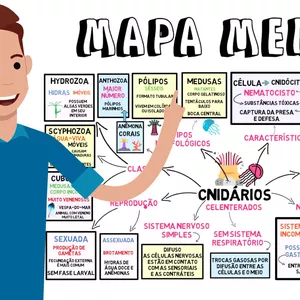 Imagem de capa para o Ebook MAPA MENTAL - FILO CNIDÁRIA